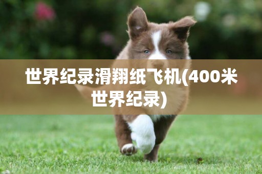 世界紀錄滑翔紙飛機(400米世界紀錄) 