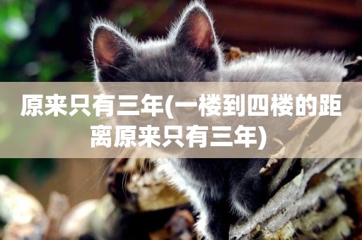 原來只有三年(一樓到四樓的距離原來只有三年) 