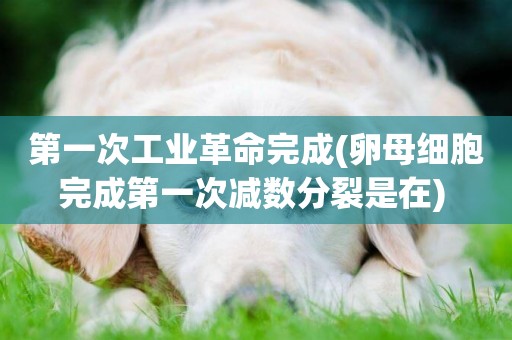 第一次工業革命完成(卵母細胞完成第一次減數分裂是在) 
