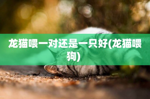 龍貓喂一對還是一只好(龍貓喂狗) 
