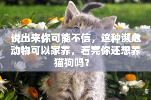說出來你可能不信，這種瀕危動物可以家養，看完你還想養貓狗嗎？ 