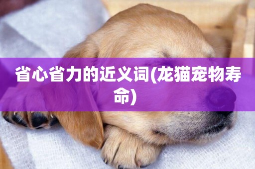 省心省力的近義詞(龍貓寵物壽命) 