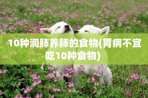 10種潤肺養肺的食物(胃病不宜吃10種食物) 