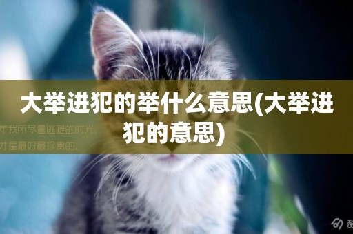 大舉進犯的舉什么意思(大舉進犯的意思) 