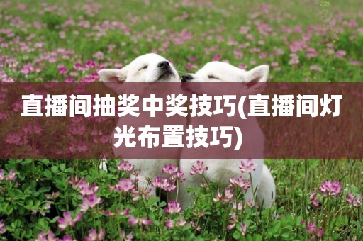 直播間抽獎中獎技巧(直播間燈光布置技巧) 