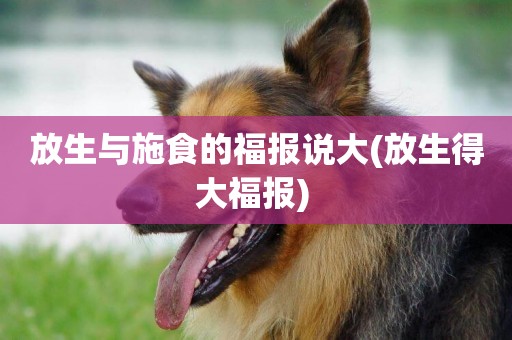放生與施食的福報說大(放生得大福報) 