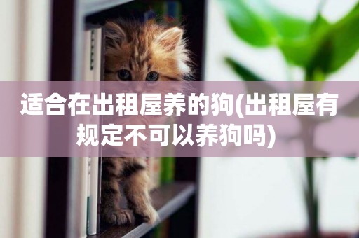 適合在出租屋養的狗(出租屋有規定不可以養狗嗎) 