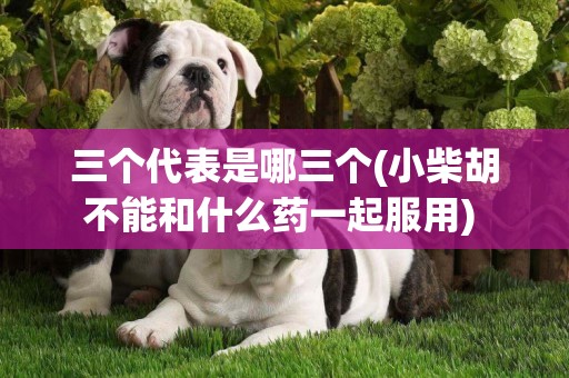 三個代表是哪三個(小柴胡不能和什么藥一起服用) 