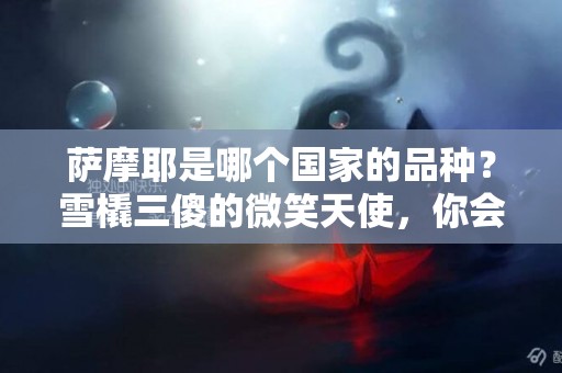 薩摩耶是哪個國家的品種？雪橇三傻的微笑天使，你會想養它嗎？ 