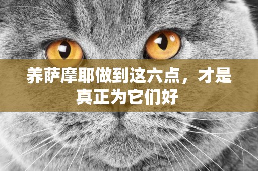 養薩摩耶做到這六點，才是真正為它們好 