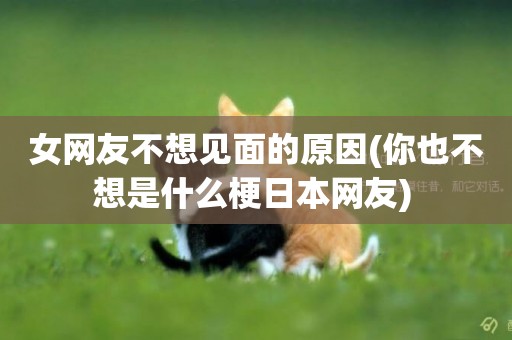 女網友不想見面的原因(你也不想是什么梗日本網友) 