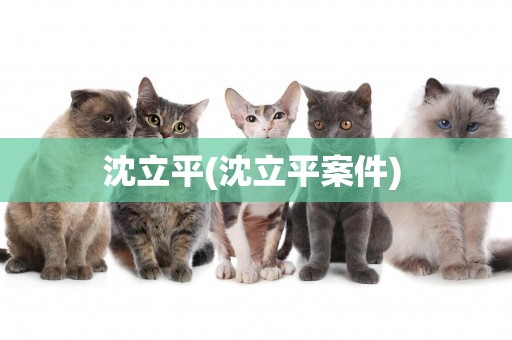 沈立平(沈立平案件) 