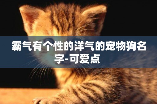 霸氣有個性的洋氣的寵物狗名字-可愛點 