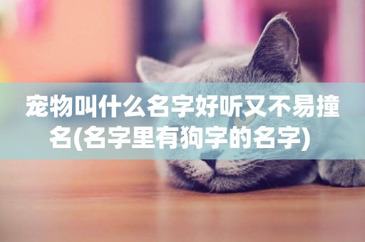 寵物叫什么名字好聽又不易撞名(名字里有狗字的名字) 
