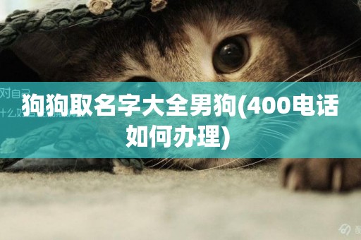狗狗取名字大全男狗(400電話如何辦理) 