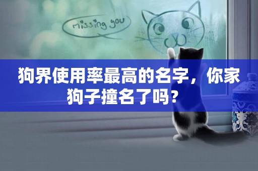 狗界使用率最高的名字，你家狗子撞名了嗎？ 