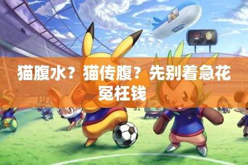 貓腹水？貓傳腹？先別著急花冤枉錢 