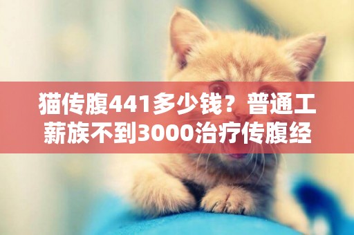貓傳腹441多少錢？普通工薪族不到3000治療傳腹經驗分享 