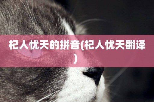 杞人憂天的拼音(杞人憂天翻譯) 