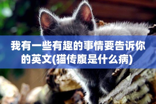 我有一些有趣的事情要告訴你的英文(貓傳腹是什么病) 