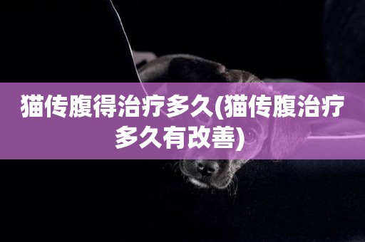 貓傳腹得治療多久(貓傳腹治療多久有改善) 