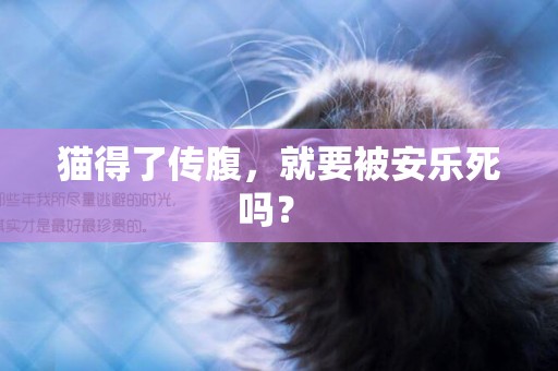 貓得了傳腹，就要被安樂死嗎？ 