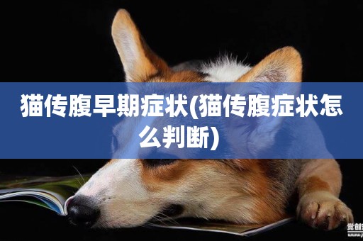 貓傳腹早期癥狀(貓傳腹癥狀怎么判斷) 