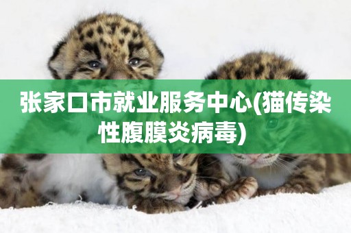 張家口市就業服務中心(貓傳染性腹膜炎病毒) 