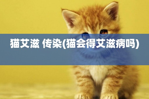 貓艾滋 傳染(貓會得艾滋病嗎) 