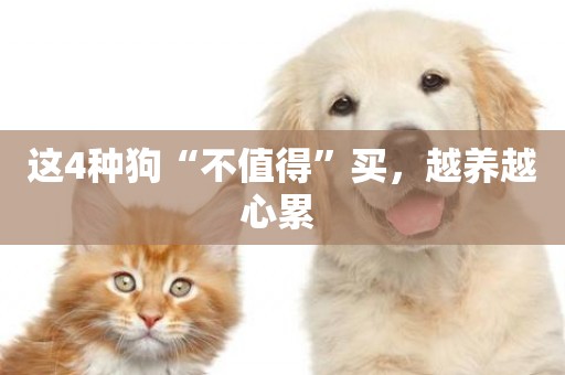 這4種狗“不值得”買，越養越心累 