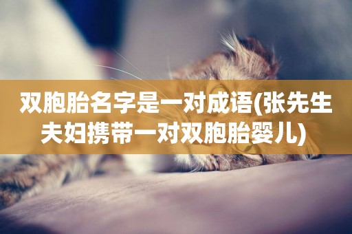 雙胞胎名字是一對成語(張先生夫婦攜帶一對雙胞胎嬰兒) 