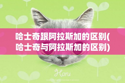 哈士奇跟阿拉斯加的區別(哈士奇與阿拉斯加的區別) 