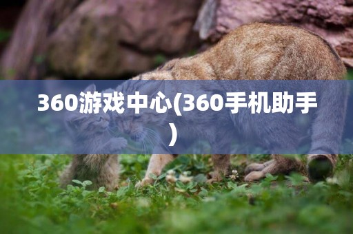 360游戲中心(360手機助手) 