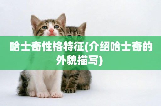 哈士奇性格特征(介紹哈士奇的外貌描寫) 