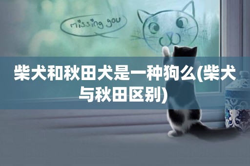 柴犬和秋田犬是一種狗么(柴犬與秋田區別) 