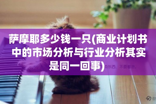 薩摩耶多少錢一只(商業計劃書中的市場分析與行業分析其實是同一回事) 