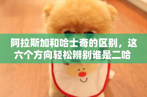 阿拉斯加和哈士奇的區別，這六個方向輕松辨別誰是二哈 
