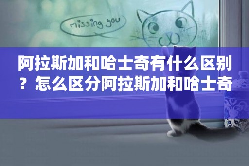 阿拉斯加和哈士奇有什么區別？怎么區分阿拉斯加和哈士奇 