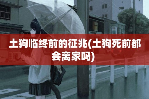 土狗臨終前的征兆(土狗死前都會離家嗎) 