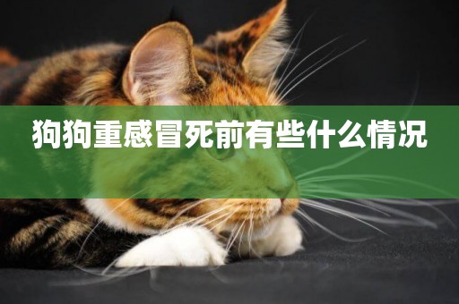 狗狗重感冒死前有些什么情況 