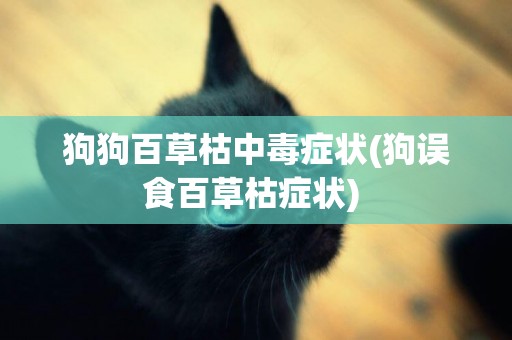 狗狗百草枯中毒癥狀(狗誤食百草枯癥狀) 