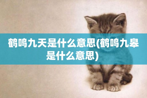 鶴鳴九天是什么意思(鶴鳴九皋是什么意思) 