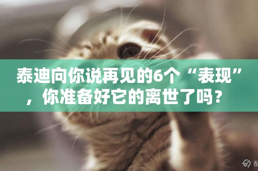 泰迪向你說再見的6個“表現”，你準備好它的離世了嗎？ 