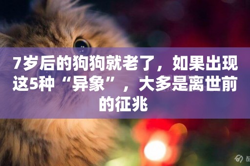 7歲后的狗狗就老了，如果出現這5種“異象”，大多是離世前的征兆 