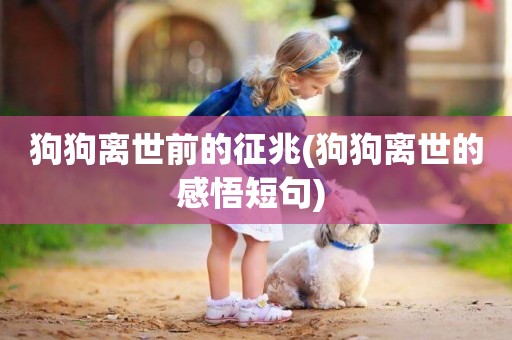狗狗離世前的征兆(狗狗離世的感悟短句) 