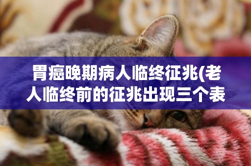 胃癌晚期病人臨終征兆(老人臨終前的征兆出現三個表現人就可以走了) 