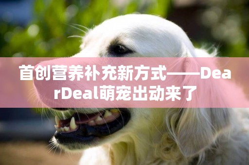 首創營養補充新方式——DearDeal萌寵出動來了