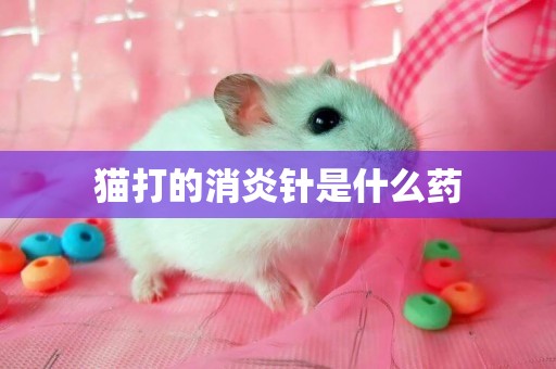 貓打的消炎針是什么藥