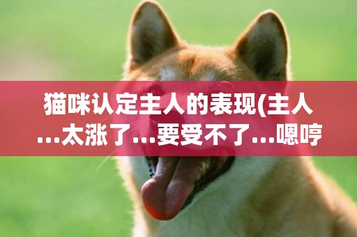 貓咪認定主人的表現(主人…太漲了…要受不了…嗯哼~) 