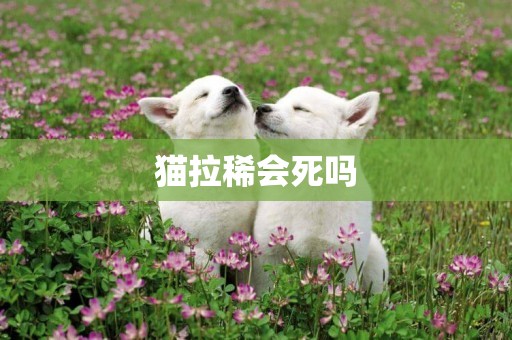 貓拉稀會死嗎